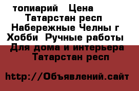 топиарий › Цена ­ 600 - Татарстан респ., Набережные Челны г. Хобби. Ручные работы » Для дома и интерьера   . Татарстан респ.